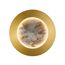 Favourite 4597-1W, настенный светильник, D50xW300xH300, LEDx24W, 336LM, 4000K, CRI>90, included