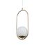 F-Promo 2913-1P, подвес, D170xH340/1200, 1xE27x60W, excluded, изображение 5
