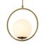 F-Promo 2788-1P, подвес, D250xH275/1200, 1xE27x60W, excluded, изображение 4