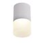 Favourite 3069-1C, потолочный светильник, D64xH110, LEDx5W, 400LM, 4000K, IP20, included