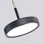 Favourite 4506-1P, подвес, D125xH210/1800, LEDx10W, 600LM, 4000K, IP20, CRI>90, included, изображение 3