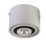 Favourite 1775-1C, потолочный светильник, D87xH60, 1xLEDx7W, AC:100-240V, 560LM, RA>80, IP21, 560LM, 4000K, included, изображение 3