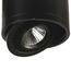 Favourite 1778-1C, потолочный светильник, D87xH60, 1xLEDx7W, AC:100-240V, 560LM, RA>80, IP21, 560LM, 4000K, included, изображение 4