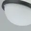 Favourite 4502-1P, подвес, D225xH190/1200, LEDx20W, 1200LM, 3000K, included, изображение 4