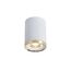 Favourite 3085-1C, потолочный светильник, D68xH91, LEDx6W, 500LM, 4000K, IP20, included