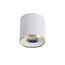 Favourite 3085-2C, потолочный светильник, D88xH91, LEDx10W, 850LM, 4000K, IP20, included, изображение 2