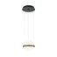 Favourite 4502-1P, подвес, D225xH190/1200, LEDx20W, 1200LM, 3000K, included