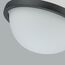 Favourite 4502-1P, подвес, D225xH190/1200, LEDx20W, 1200LM, 3000K, included, изображение 4