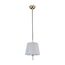 Favourite 2690-1P, подвес, D230xH300/1410, 1xE14x40W, excluded, изображение 2