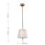 Favourite 2690-1P, подвес, D230xH300/1410, 1xE14x40W, excluded, изображение 3