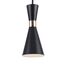 F-Promo 2757-1P, подвес, D120xH360/1560, 1xE14x40W, excluded, изображение 5