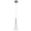 F-Promo 2758-1P, подвес, D120xH360/1560, 1xE14x40W, excluded, изображение 3