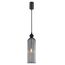 F-Promo 4367-1P, подвес, D100xH495/1995, 1xE14x40W, excluded