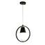 F-Promo 2938-1P, подвес, W300xH325/1325, 1xE27x40W, excluded