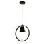 F-Promo 2938-1P, подвес, W300xH325/1325, 1xE27x40W, excluded, изображение 2