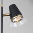 F-Promo 4618-2P, подвес, D290xH425/1600, 2xGU10x35W, excluded, изображение 4