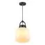 NOVOTECH 370601 STREET NT19 383 белый абажур/черная арматура  Ландшафтный подвес IP44 E27 60W 100-240V CONTE, изображение 4