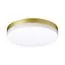 NOVOTECH 358888 STREET NT22 396 золото Светильник ландшафтный светодиодный IP54 LED 4000К 30W 220V OPAL