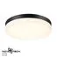 NOVOTECH 358886 STREET NT22 396 черный Светильник ландшафтный светодиодный IP54 LED 4000К 30W 220V OPAL, изображение 3
