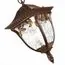 ST LUCE SL083.703.01 Светильник уличный подвесной ST-Luce Кофейный/Кофейный, Прозрачный E27 1*60W, изображение 3