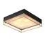 ST LUCE SL1127.422.05 Светильник потолочный ST-Luce Черный, Матовое золото/Белый E27 5*40W