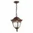 ST LUCE SL083.703.01 Светильник уличный подвесной ST-Luce Кофейный/Кофейный, Прозрачный E27 1*60W, изображение 2