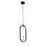 ST LUCE SL1201.403.01 Подвес ST-Luce Черный/Прозрачный G9 1*5W