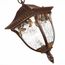 ST LUCE SL083.703.01 Светильник уличный подвесной ST-Luce Кофейный/Кофейный, Прозрачный E27 1*60W, изображение 2
