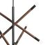 ST LUCE SL6226.403.08 Светильник подвесной ST-Luce Черный, Коричневый E14 8*40W, изображение 3