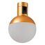 ST LUCE ST815.206.05 Магнитный трековый светильник FARM Золотистый LED 1*5W 3000K 89Lm Ra90 120 IP20 D75xH10, изображение 7