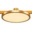 ST LUCE ST818.206.12 Магнитный трековый светильник FARM Золотистый LED 1*10W 3000K 520Lm Ra80 120 IP20 D168x, изображение 2