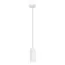 ST LUCE SL1213.503.01 Подвес ST-Luce Белый/Белый GU10 1*5W 4000K