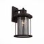 ST LUCE SL080.401.01 Светильник уличный настенный ST-Luce Темный кофе/Прозрачный, Темный кофе E27 1*60W