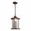 ST LUCE SL080.403.01 Светильник уличный подвесной ST-Luce Темный кофе/Прозрачный, Темный кофе E27 1*60W