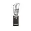 ST LUCE SL815.301.01 Бра ST-Luce Серый графит/Серый графит, Прозрачный LED 1*6W 4000K, изображение 2