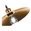 ST LUCE SL1017.203.01 Светильник подвесной ST-Luce Черный/Золотистый E27 1*60W, изображение 6
