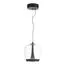 ST LUCE SL6014.423.01 Светильник подвесной ST-Luce Черный/Прозрачный, Черный LED 1*17W 3000K