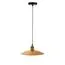 ST LUCE SL1017.203.01 Светильник подвесной ST-Luce Черный/Золотистый E27 1*60W, изображение 2