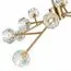 ST LUCE SL1166.303.12 Светильник подвесной ST-Luce Латунь/Прозрачный G9 LED 12*5W, изображение 6