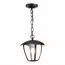 ST LUCE SL081.403.01 Светильник уличный подвесной ST-Luce Черный/Черный, Прозрачный E27 1*40W