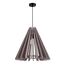 ST LUCE SL3002.403.01 Светильник подвесной ST-Luce Черный/Бежевый E27 1*60W, изображение 2