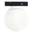 ST LUCE ST687.546.03 Магнитный трековый светильник Белый LED 1*3W 4000K Lm Ra>80 360° IP20 D60xH- 24V, изображение 2
