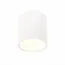 ST LUCE ST113.532.05 Светильник потолочный Белый LED 1*5W 3000K 390Lm Ra>90 120° IP20 D68xH75 170-240V