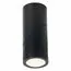 ST LUCE ST650.442.10 Светильник потолочный Черный LED 1*10W 4000K 800Lm Ra>90 38° IP44 D62xH151 165-265V, изображение 2