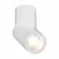 ST LUCE ST650.532.10 Светильник потолочный Белый LED 1*10W 3000K 800Lm Ra>90 38° IP44 D62xH151 165-265V