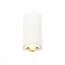 ST LUCE ST600.532.10 Светильник потолочный Zoom Белый LED 1*10W 3000K 1 000Lm Ra>80 15-60° IP20 D59xH130 170