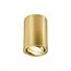 ST LUCE ST108.207.01 Светильник потолочный Золотистый GU10 1*50W  IP20 D70xH100 220V Без ламп