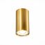 ST LUCE ST110.207.01 Светильник потолочный Золотистый GU10 1*50W  IP20 D54xH100 220V Без ламп