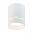 ST LUCE ST115.532.12 Светильник потолочный Белый LED 1*12W 3000K 840Lm Ra>90 120° IP20 D79xH100 170-240V
