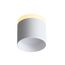 ST LUCE ST102.502.09 Светильник потолочный Белый LED 1*9W 3000K 702Lm Ra>80 120° IP20 D79xH75 170-240V, изображение 2
